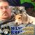 Jason Butler's profile image