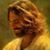 Kelly Jackson's profile image