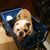 Cindy Lambert Oppermann's profile image
