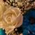 Mary McClain's profile image
