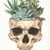 Bryanna Mongitore's profile image