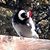 Delphia Strickland's profile image
