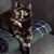 Thomas Duke's profile image