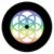 Derek Steven Grimsley's profile image