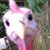 Jodi Omerzo's profile image