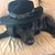 Kathleen Coffey's profile image