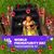 Susan Donoghue-Caccholi's profile image