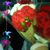 Talitha Carmichael's profile image