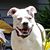 Cheryl Montgomery Friedman's profile image