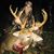 Sammy Mayberry-Waggener's profile image