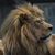 Wendy Weber Petera's profile image