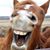 Robert Balentine's profile image