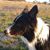 Michelle Tunbridge's profile image