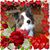 Kimberly Mae Kruse-Rasmussen's profile image