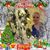 Marieta Dollia's profile image