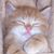 Patricia Gibb's profile image