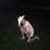 Thomas Tommy D Dowler's profile image