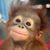 Brent Kryzanski's profile image