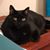 Kristie Barse's profile image