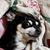 Joyce Young's profile image