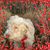 Sandra Solarz's profile image