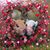 Juliana Kicovic Pastine's profile image