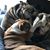 Donna Impal Atchley's profile image