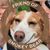 Chris Light's profile image