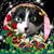 Jo Anne Balik's profile image
