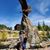 Tami Griffiths Salcedo's profile image