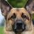 Rhonda Schloer Meath's profile image