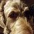 Darla Zane Thill's profile image