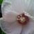 Lisa Jackson's profile image