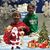 Susan Teich's profile image