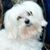 Ann Mcfay's profile image