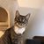 Vikki Tuma's profile image