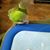 Cyndi Nason's profile image