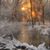 Pam Satterfield's profile image