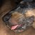 Lisa O'Brien Weber's profile image
