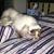Liz Gilpin's profile image