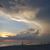 Cathy Nelson-Maddes's profile image