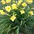 Debbie Sands Davis's profile image