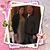 Jeanie Doane DiRezze's profile image