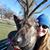 Eileen Stocks's profile image