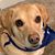 Terri Knox Weisser's profile image