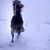 Brenda Johnson's profile image