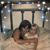 Dana Keeney's profile image