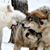 Sarah Crawmer's profile image