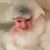 Michael Newcomb's profile image