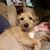 Chuck Brightwell's profile image